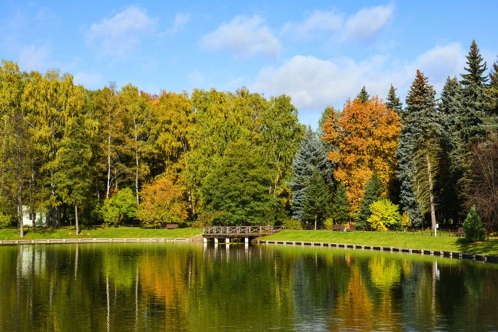 Фотография автора Юлия Кузнецова