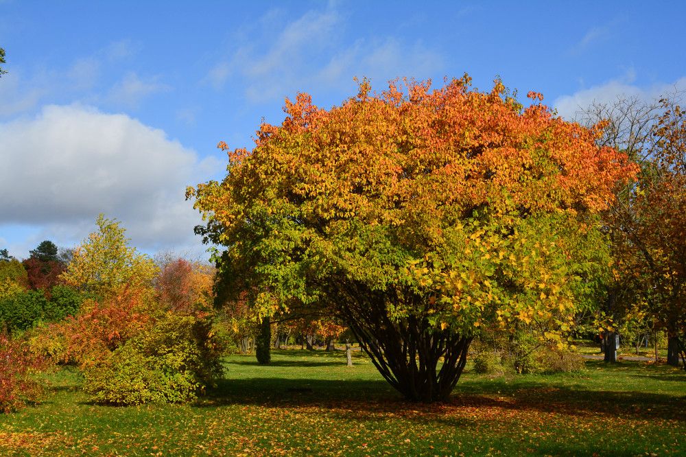 Фотография автора Юлия Кузнецова