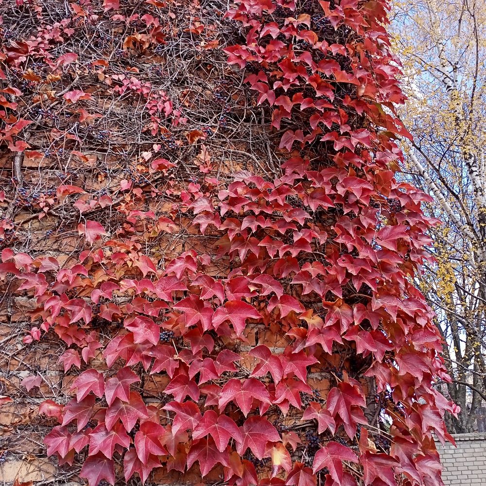 Photograph by Адамян Анна