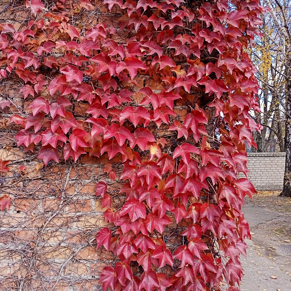 Photograph by Адамян Анна