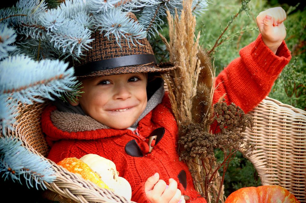 Photograph by Светлана