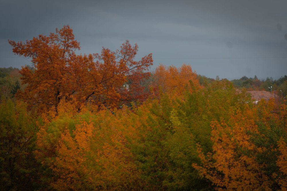 Photograph by Александр Ходакин