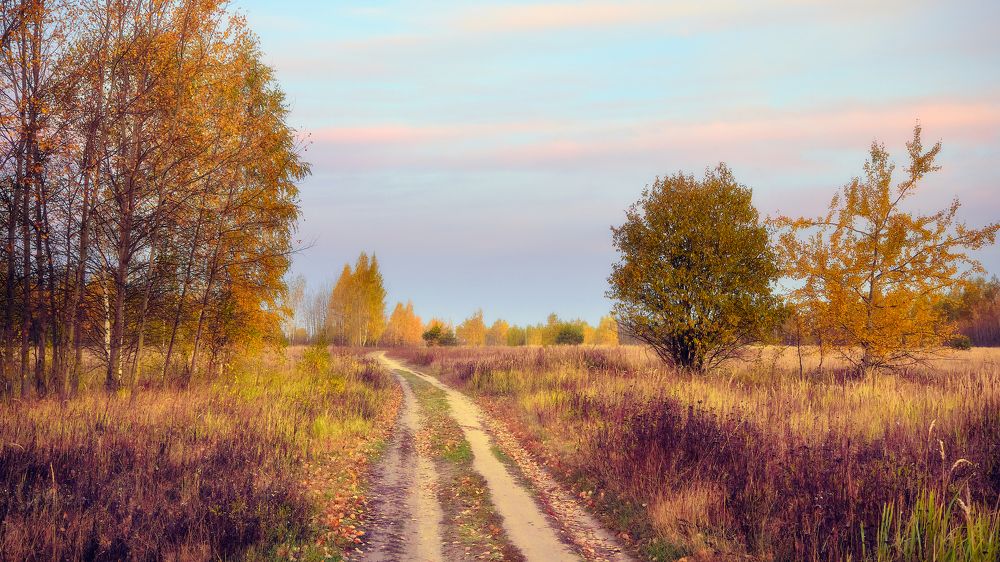 Photograph by Кирилл Колышев