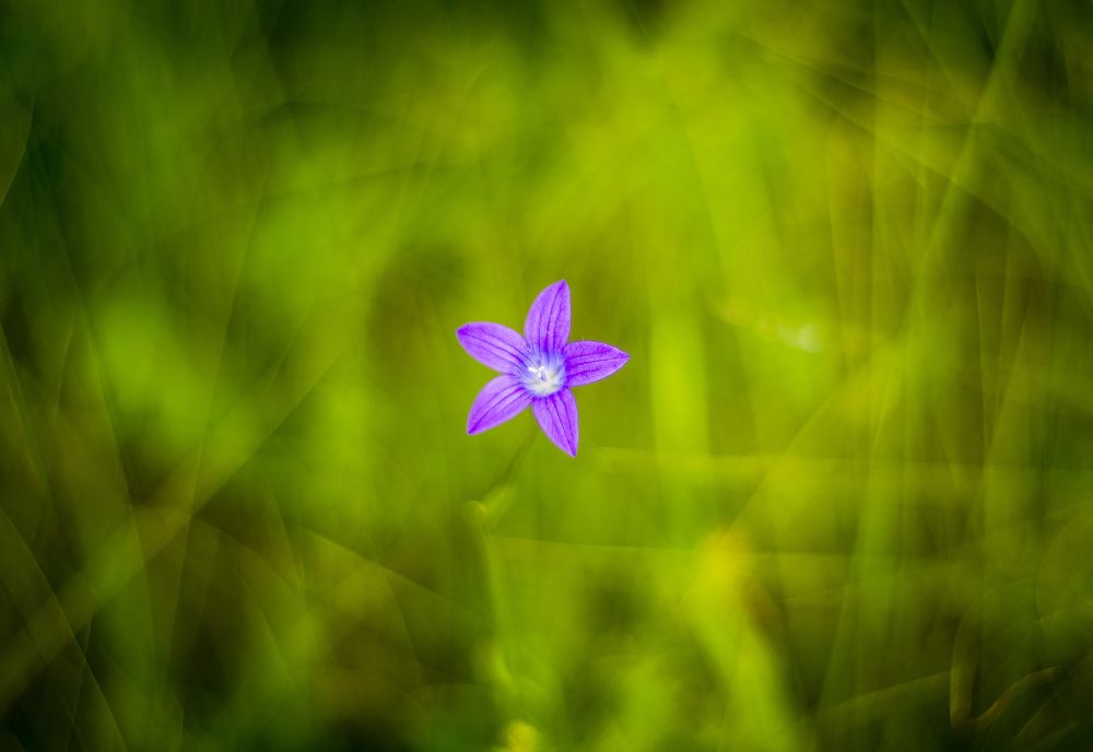 Photograph by Василий Либко