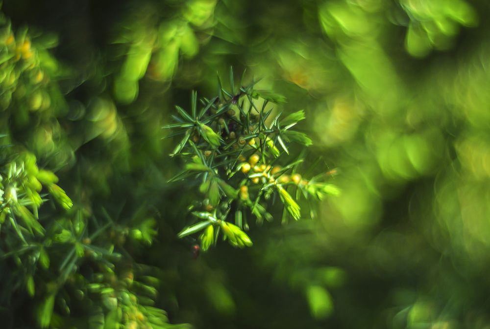 Photograph by Василий Либко