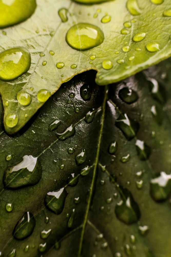 Фотография автора Gabriel de Araujo Almeida