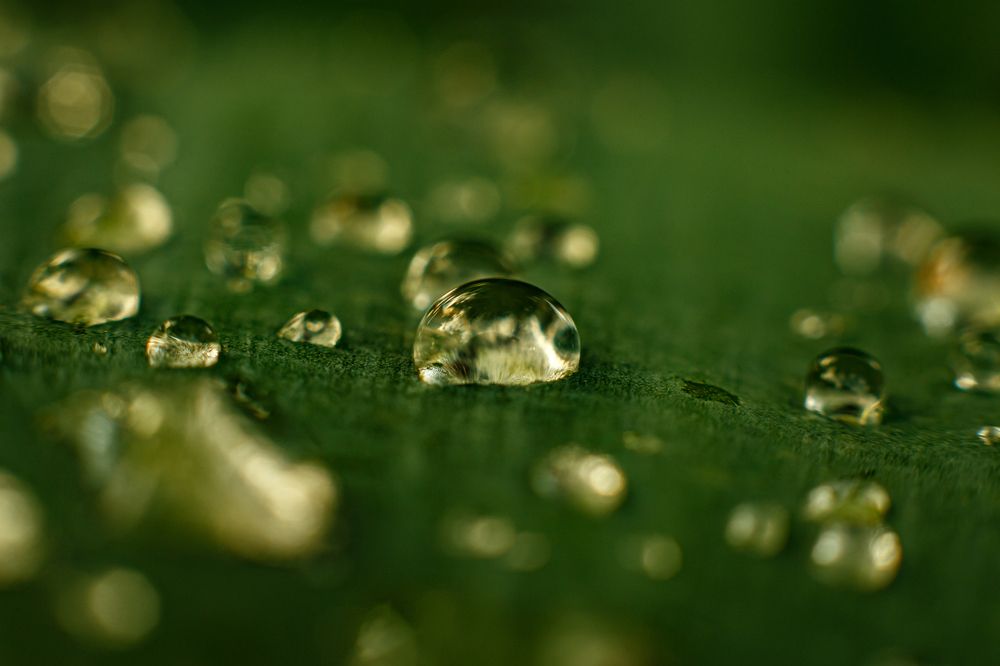 Фотография автора Gabriel de Araujo Almeida