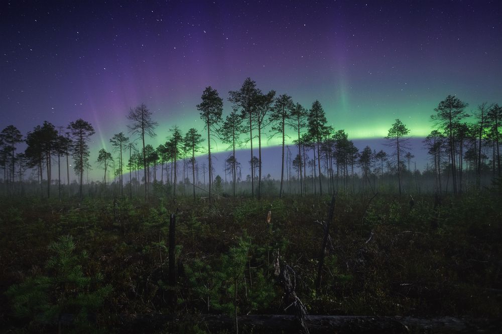 Photograph by Чаланов Иван