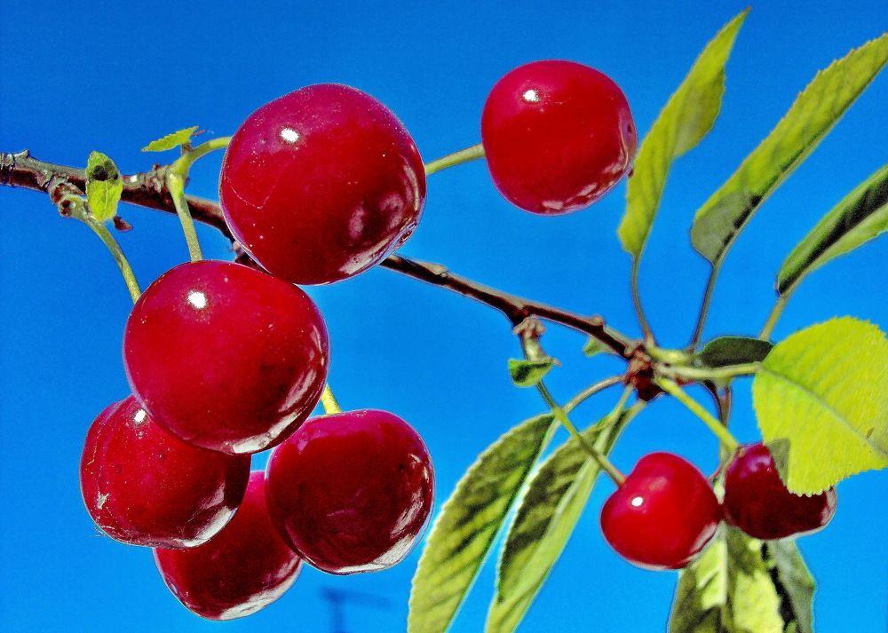 Photograph by Виталий Симоненков