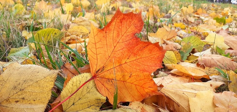 Photograph by Евгения Ульянова