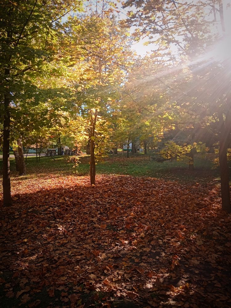 Photograph by Наталья Кириллова