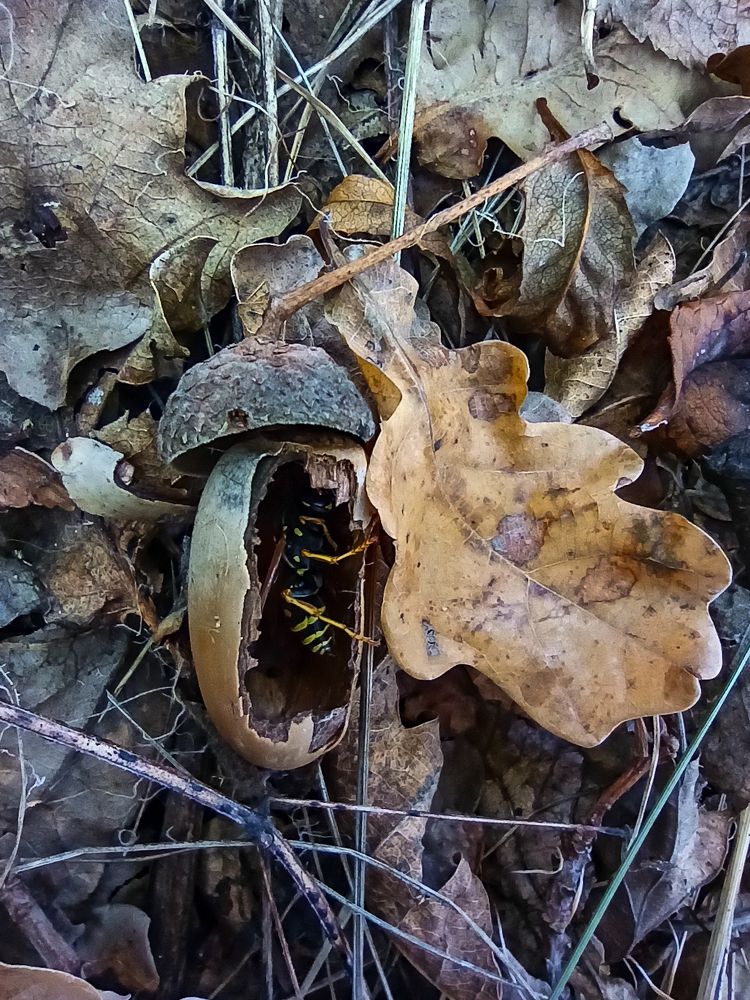 Photograph by Ирина Дегтярева