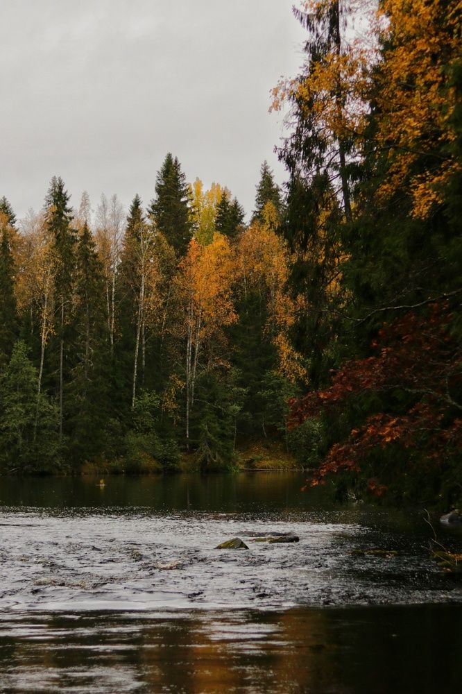 Photograph by Николай