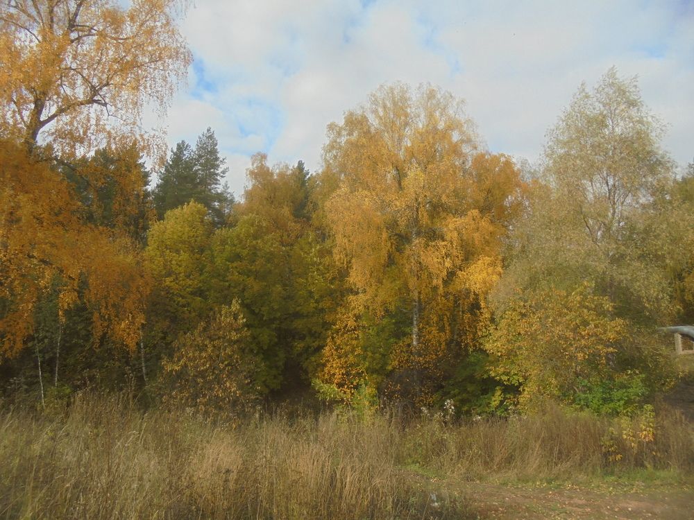 Осенняя акварель.