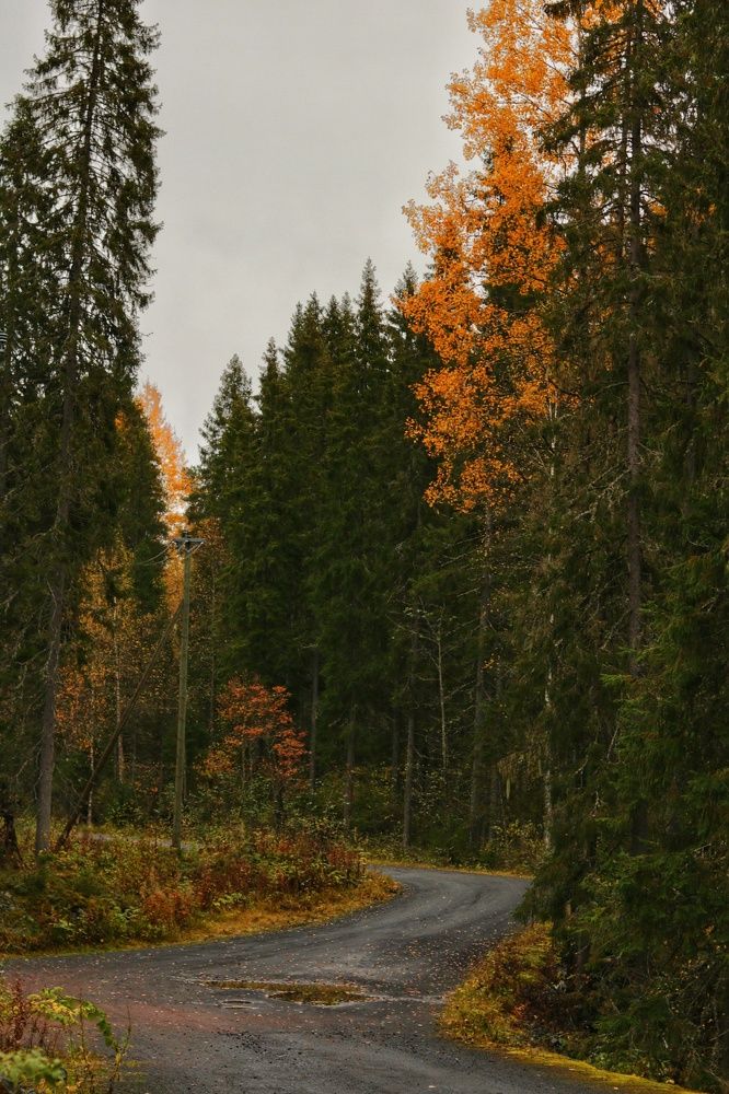 Photograph by Николай