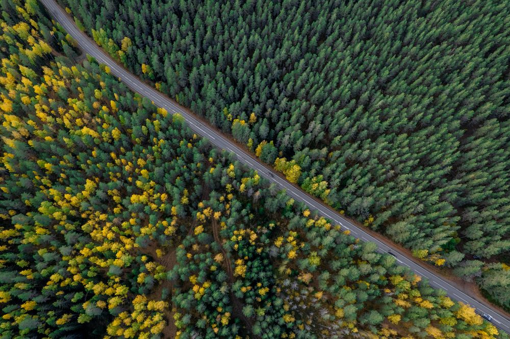 Photograph by Валерий Баязитов