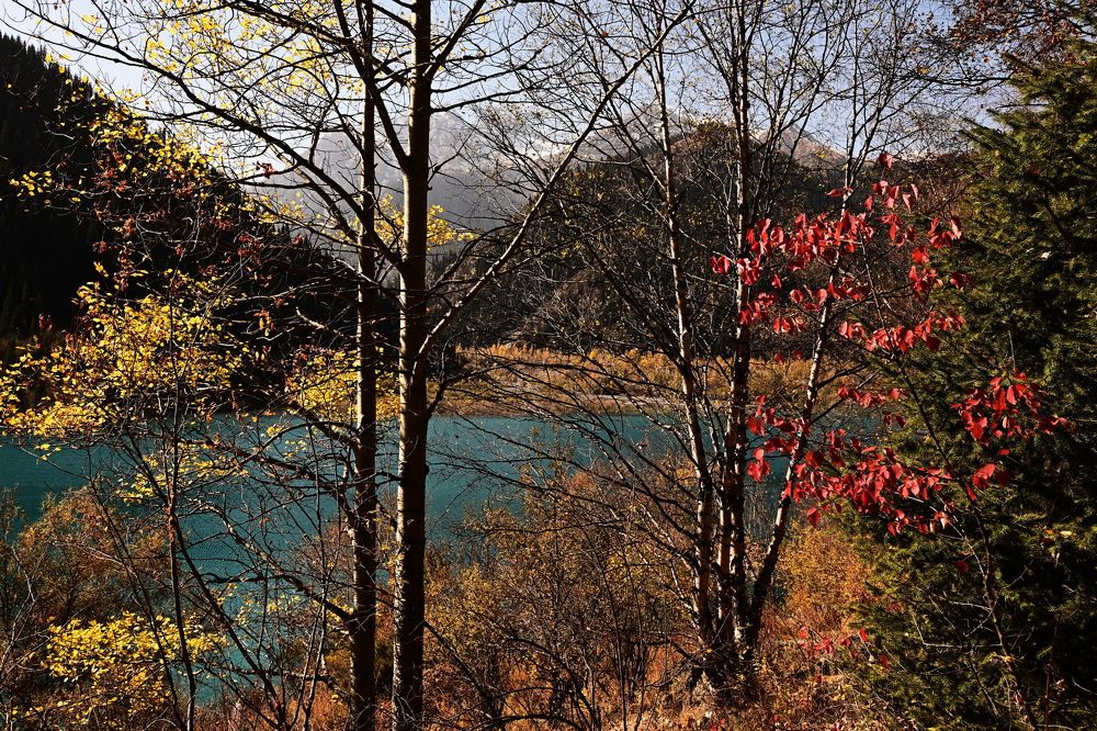 Photograph by Наталья Баранова