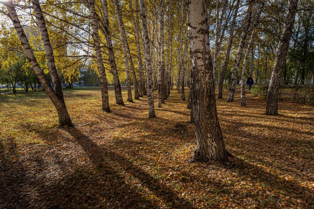 Photograph by Олег Шмельков