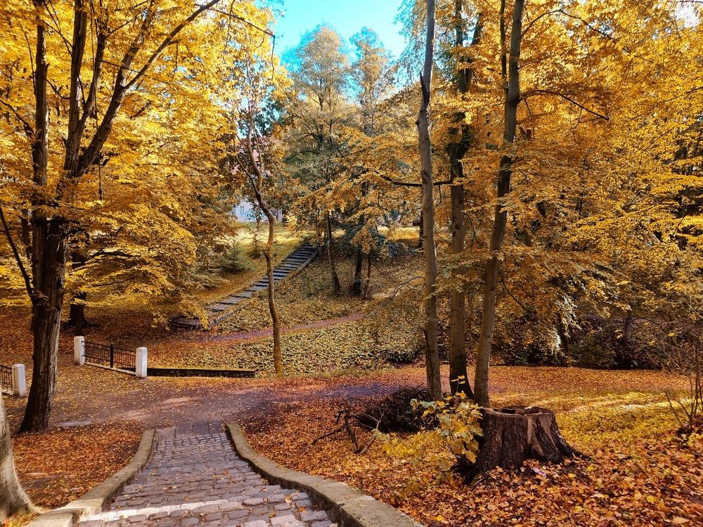 Photograph by Ирина Дубицкая