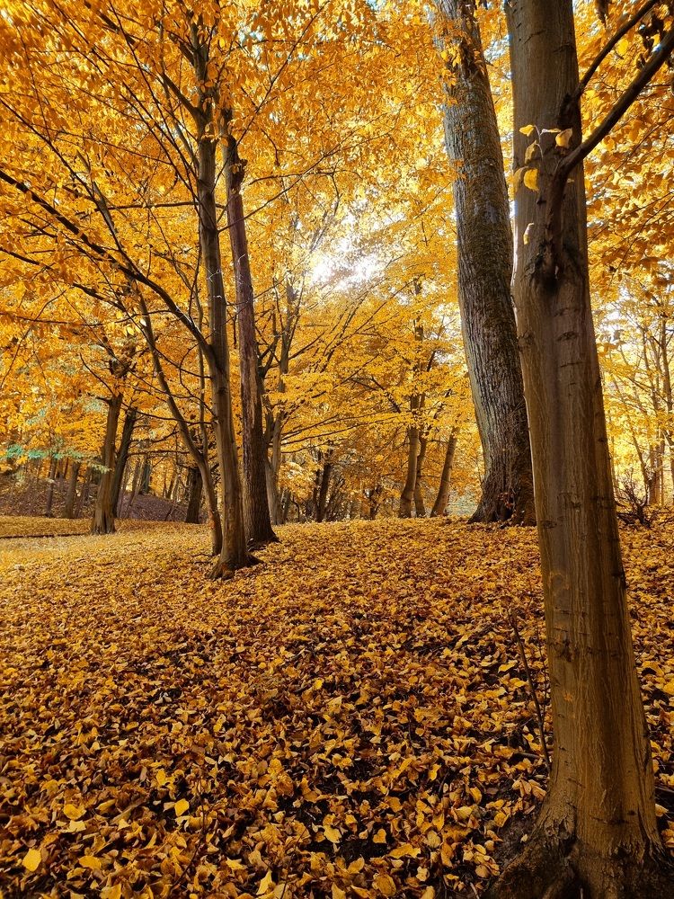 Photograph by Ирина Дубицкая