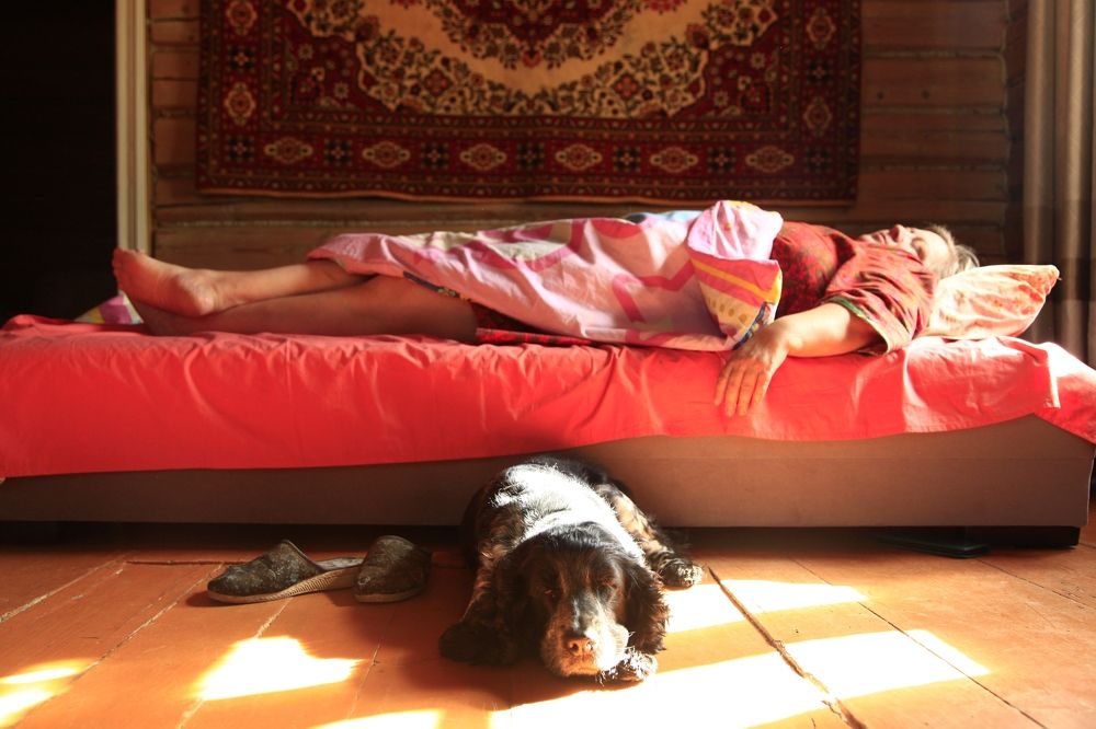 Photograph by Григорий Шишонков