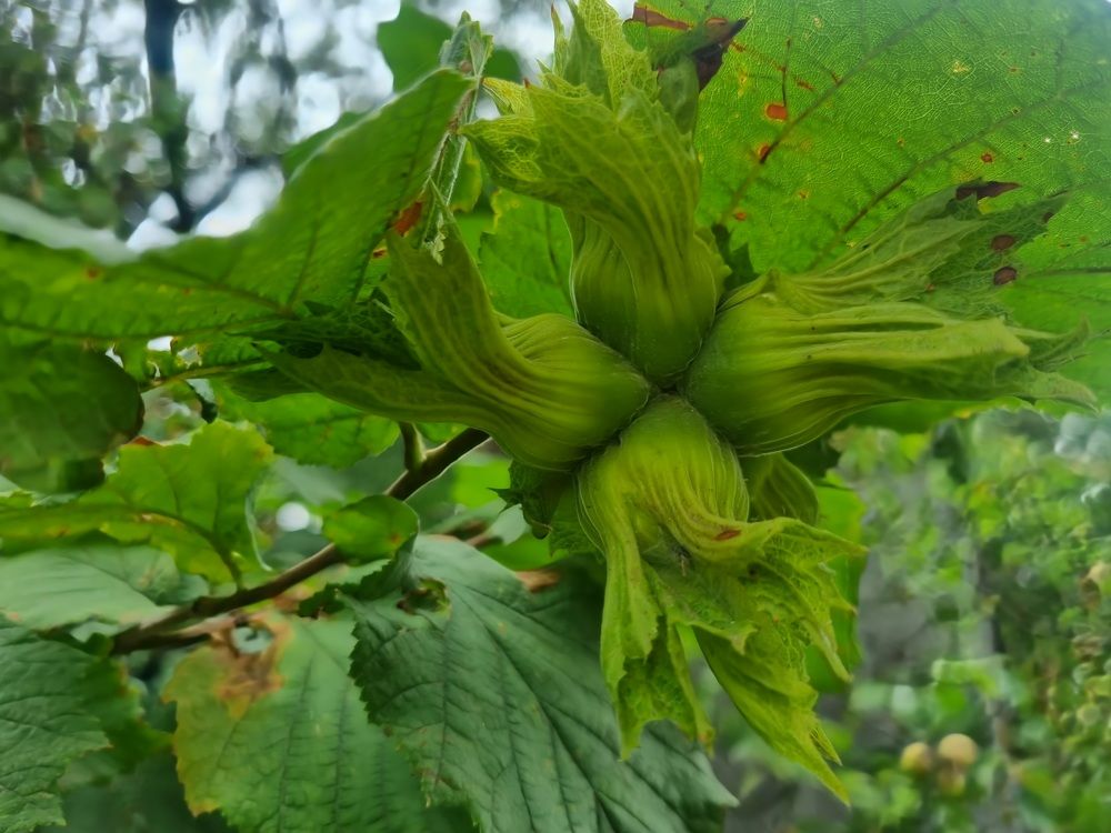 Photograph by Анастасия Терещенко