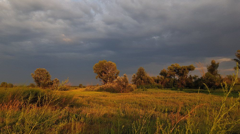 Photograph by Наталья Анисимова