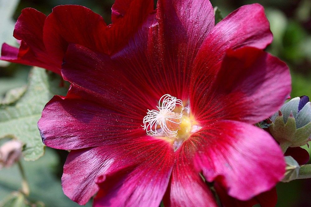 Photograph by Наталья