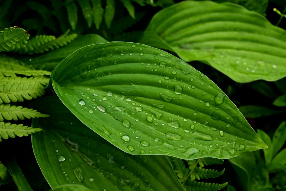 Photograph by Светлана Вербицкая