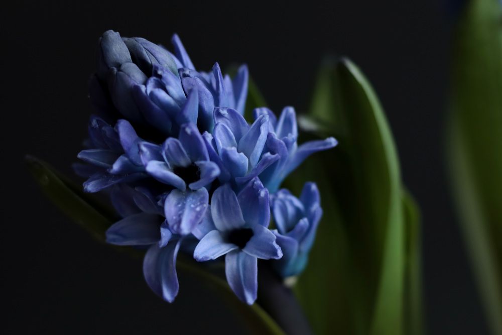 Photograph by Евгения Цыганова