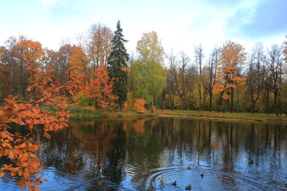 Photograph by Николай Бакулин