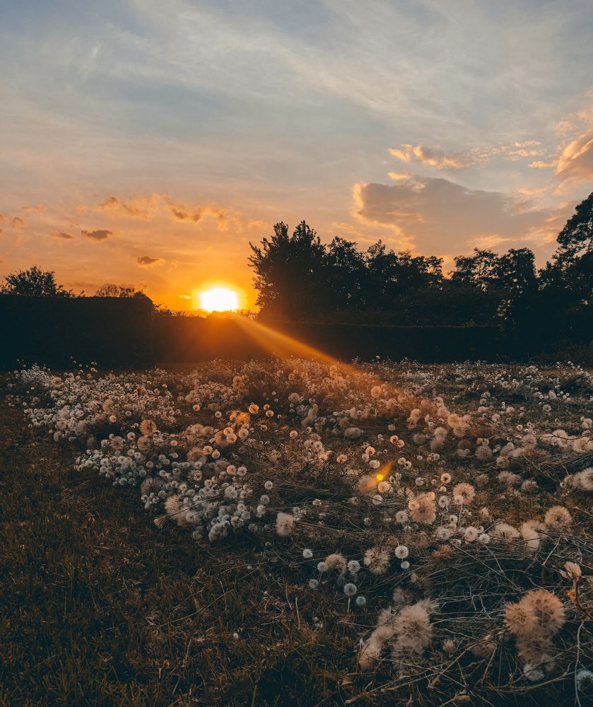 Photograph by Елена Твардовськая