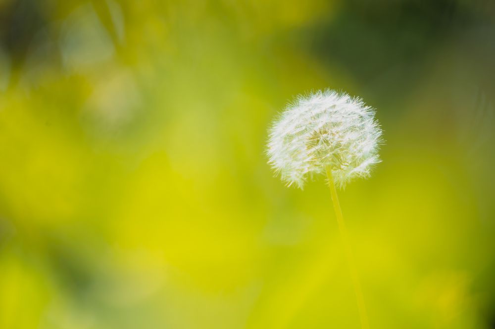 Photograph by Денис Пономарёв