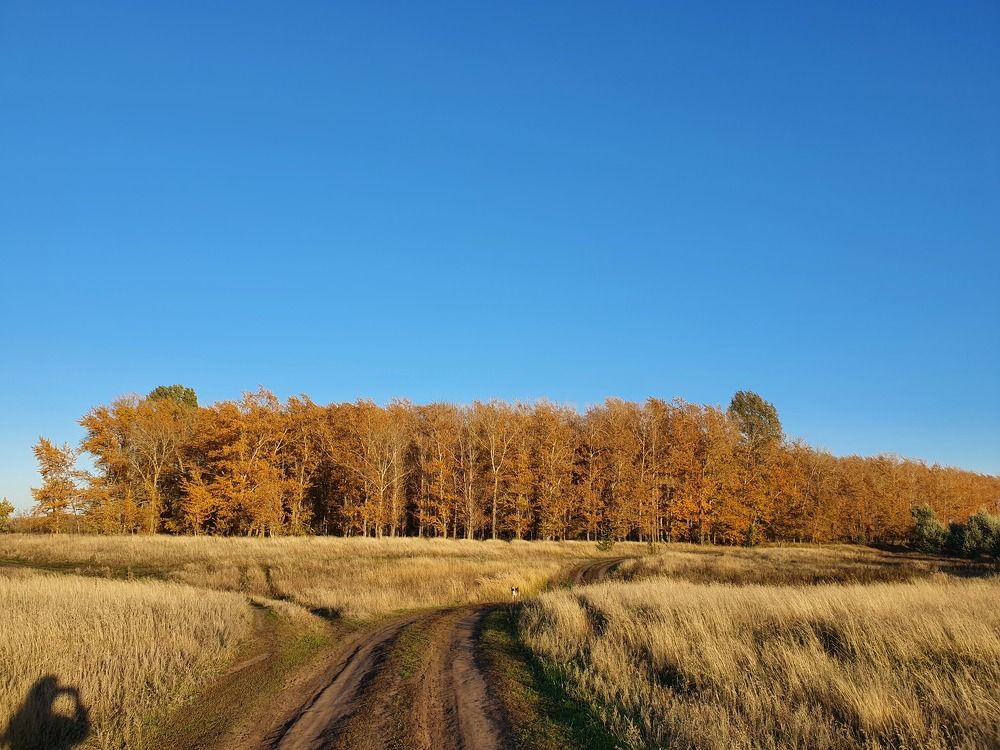 Photograph by Екатерина Верясова