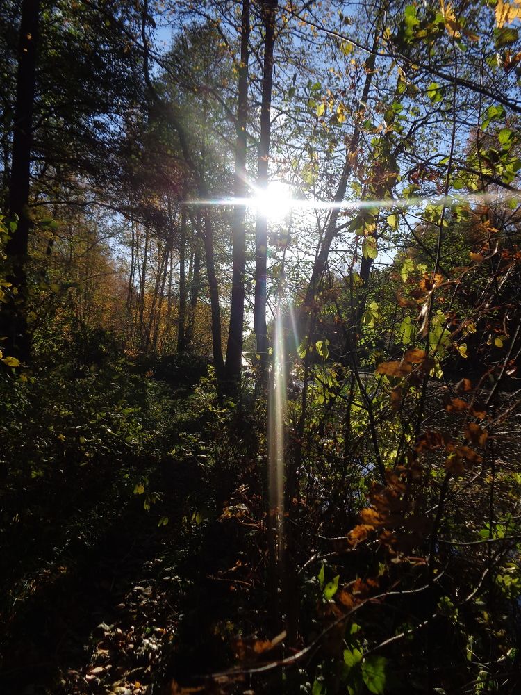 Photograph by Георгий Салюков