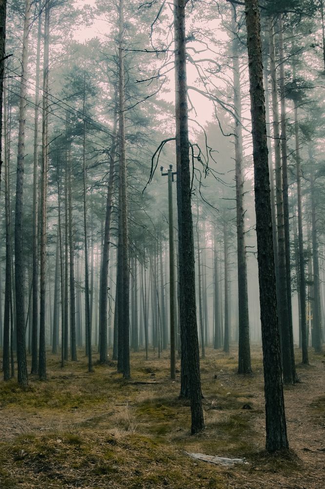 Photograph by Дарья Зайцева