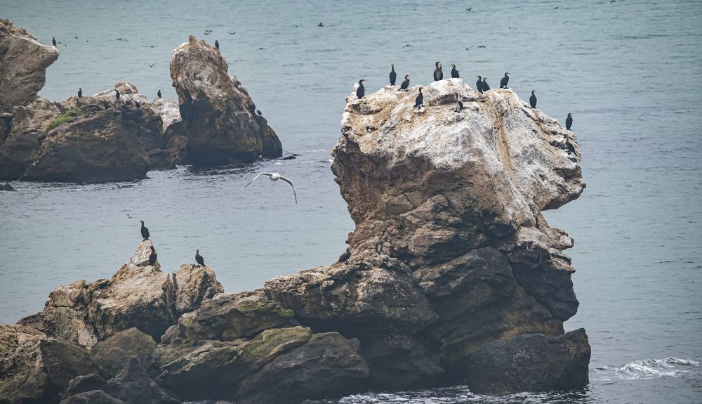 Photograph by Сергей Савчук