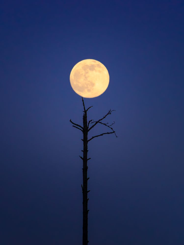 Фотография автора Вадим Демченко