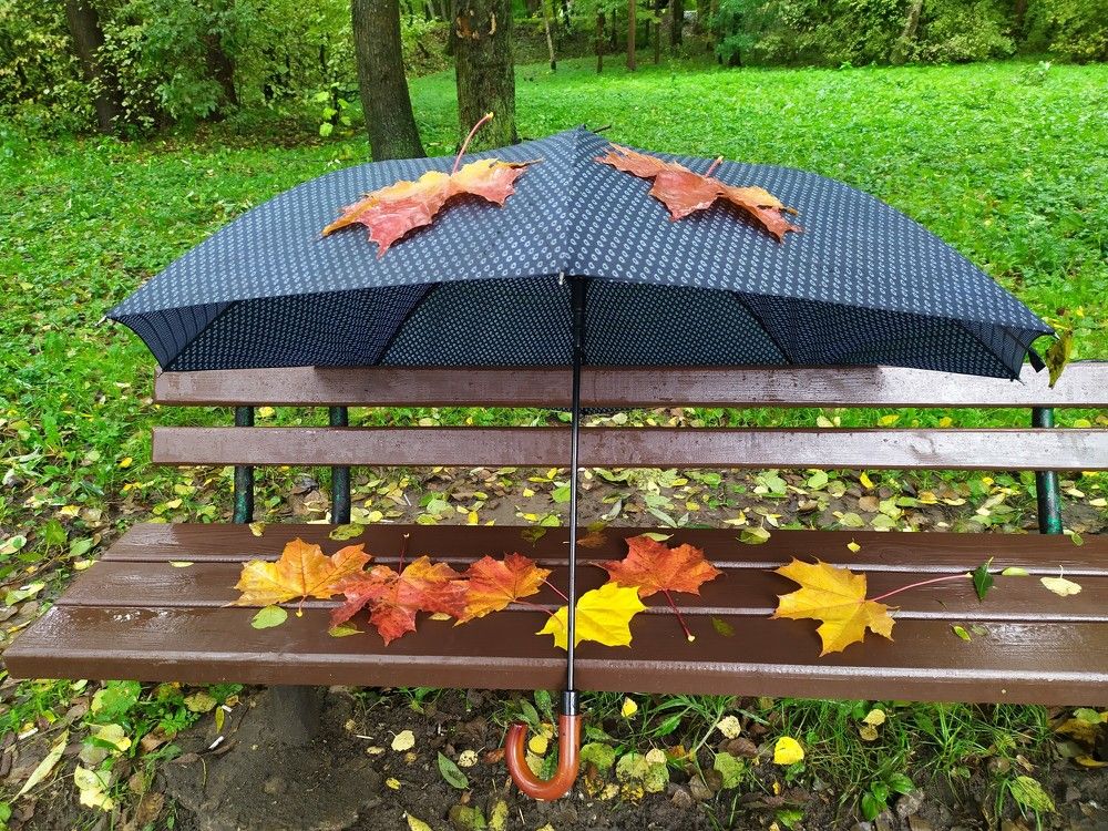 Photograph by Людмила Муравьева