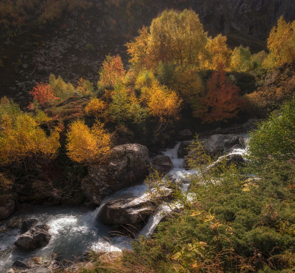 Photograph by Кахарова Наргиза