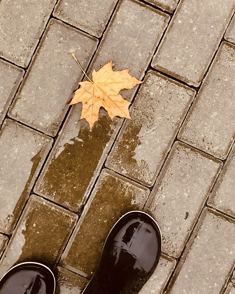 Фотография автора Елена Коробкова