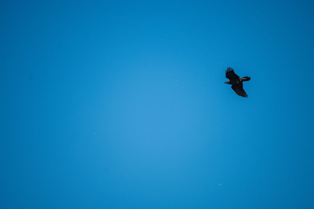 Photograph by Денис Пономарёв