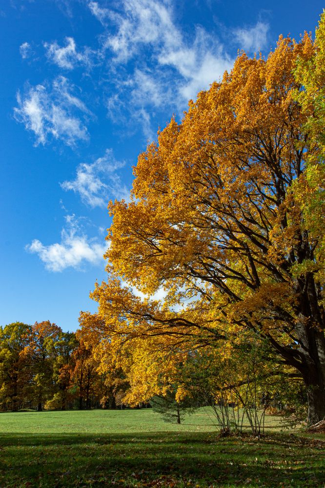 Фотография автора Евгений Лукьянов