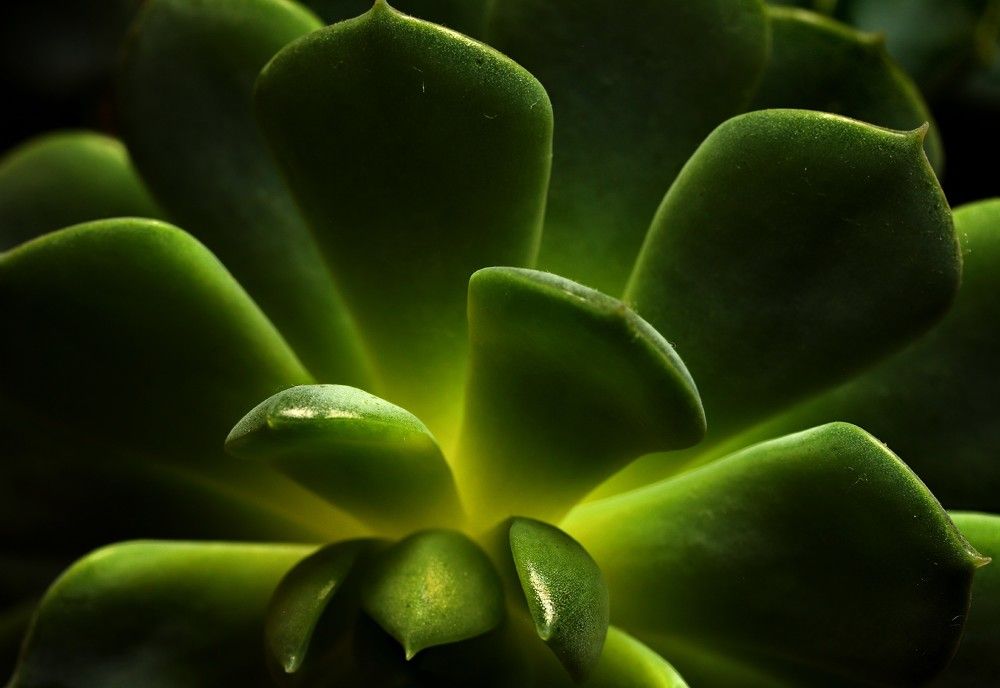 Photograph by Лада Денисова