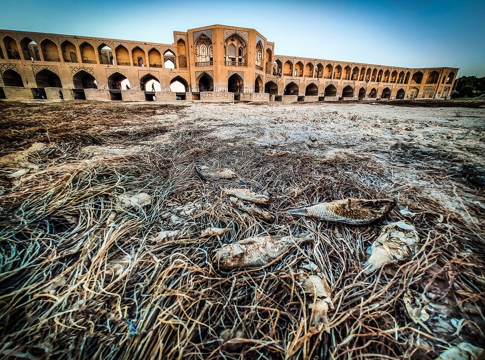 Photograph by behzad homayouninejad