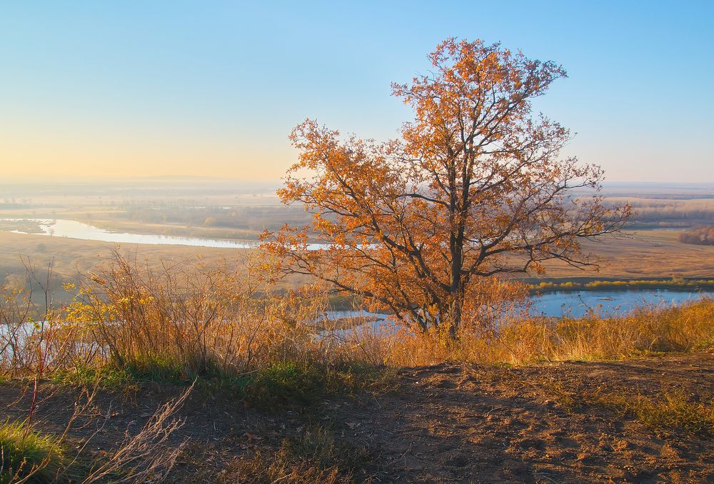 Photograph by Василий Быстрицкий