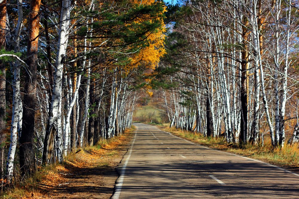 Photograph by Анна Киселёва