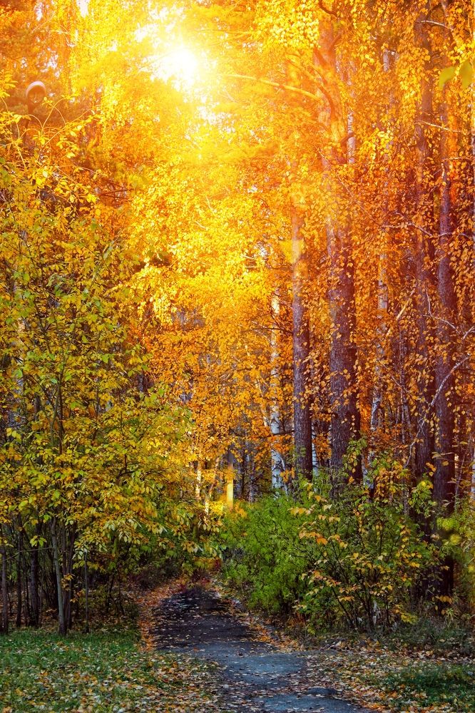 Photograph by Анна Киселёва