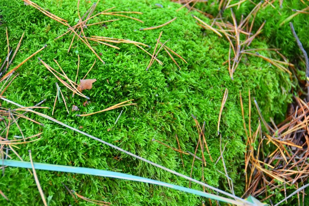 Photograph by Евгений Захаров