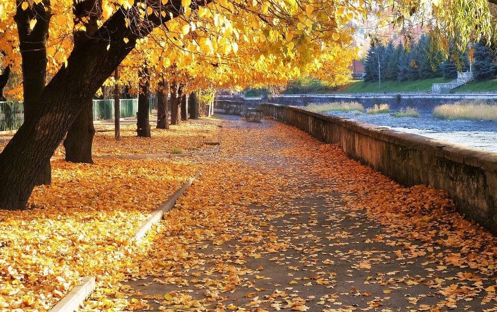 Photograph by kazimir